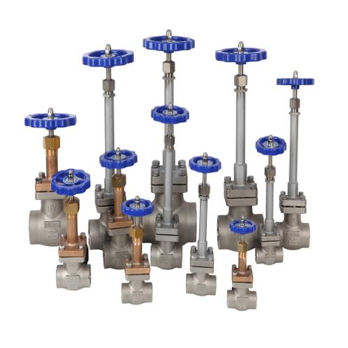 Cryogenic Globe Valve(10A~50A(3/8"~2"); 10A, 15A, 20A, 25A, 32A, 40A, 50A) for LNG ship storage tank