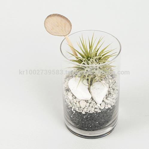 Vintage Glass Cup Tillandsia Air Plants DIY Set " Black & White" Joinflower