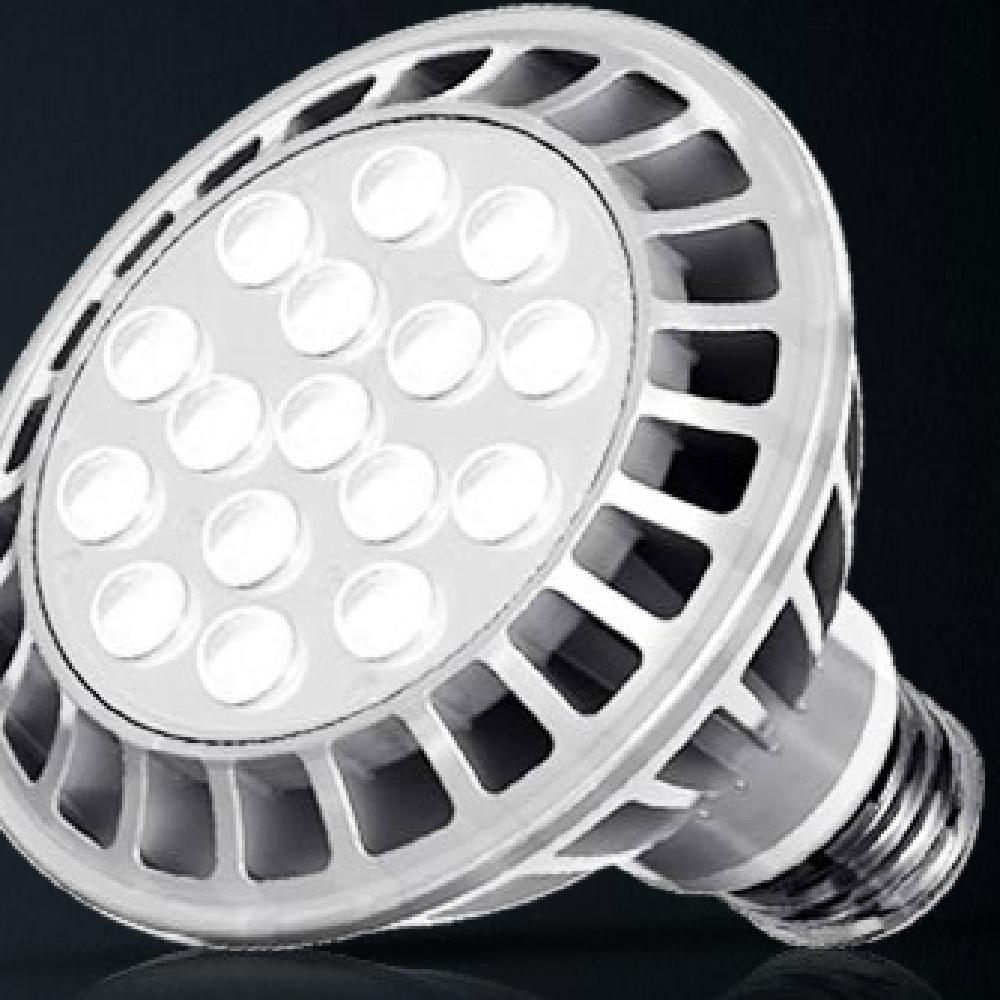 REPLACEMENT OF HALOGEN LAMP PAR30