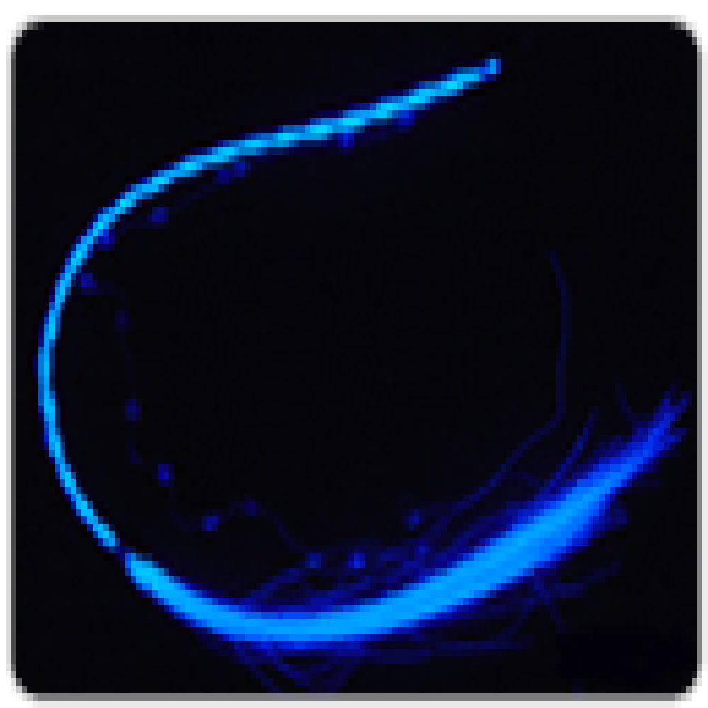 Special Fiber Glow Hair