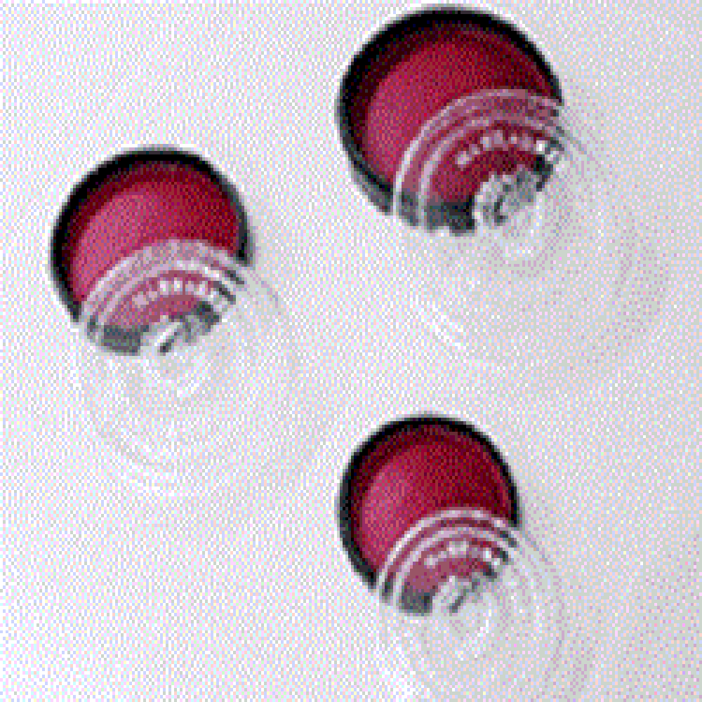 Maepyo seal inks (L,M,S) 