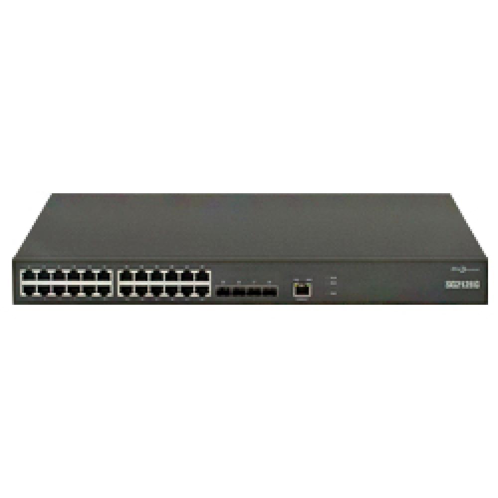 SG security switch - SG2128G series