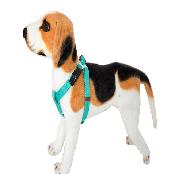 Doggo Healthcare service Bingo