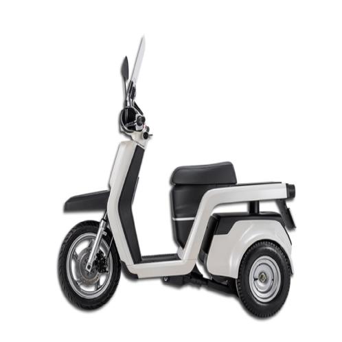 Electric Scooter EM3X