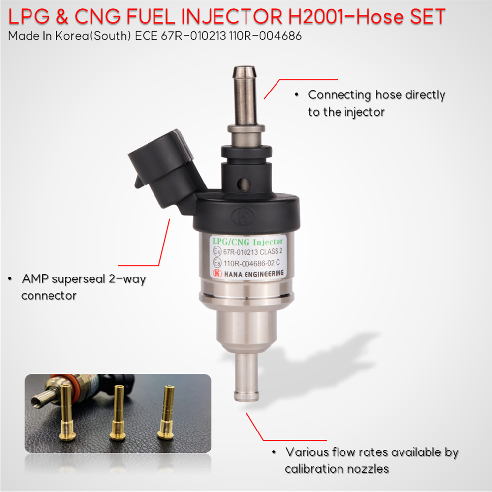 LPG CNG injector for passenger car (H2001)