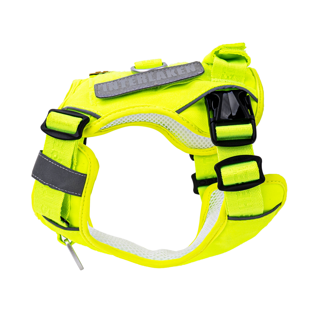 INTERLAKEN CUSTOM DOG HARNESS