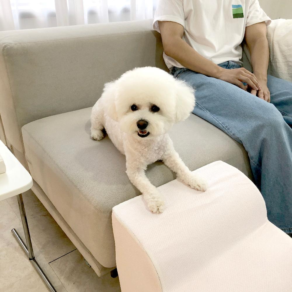 Allmio Pet Dog Curved Stairs