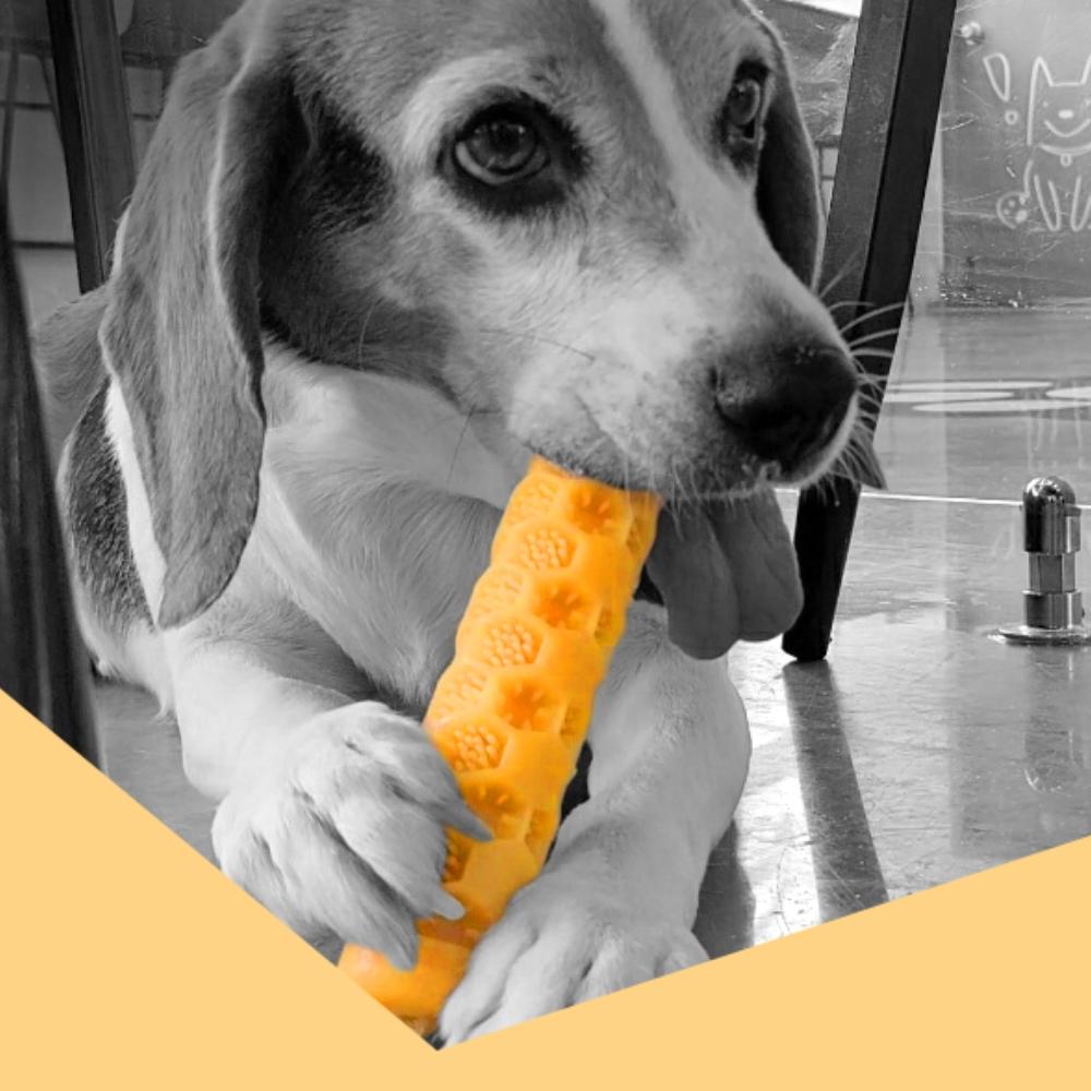 BelloPet Honeycomb Brush (M)