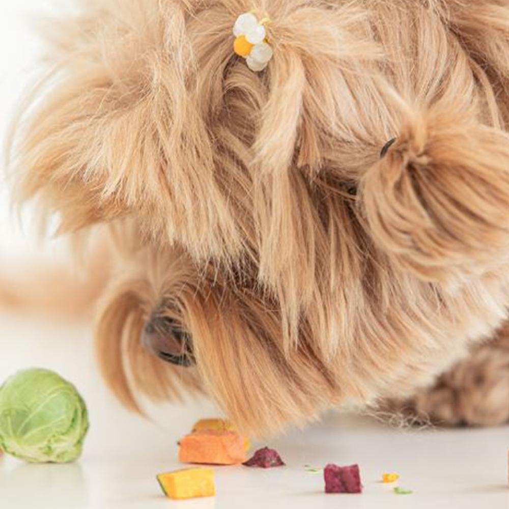 Little Farm Veggie Mix Treat 30g