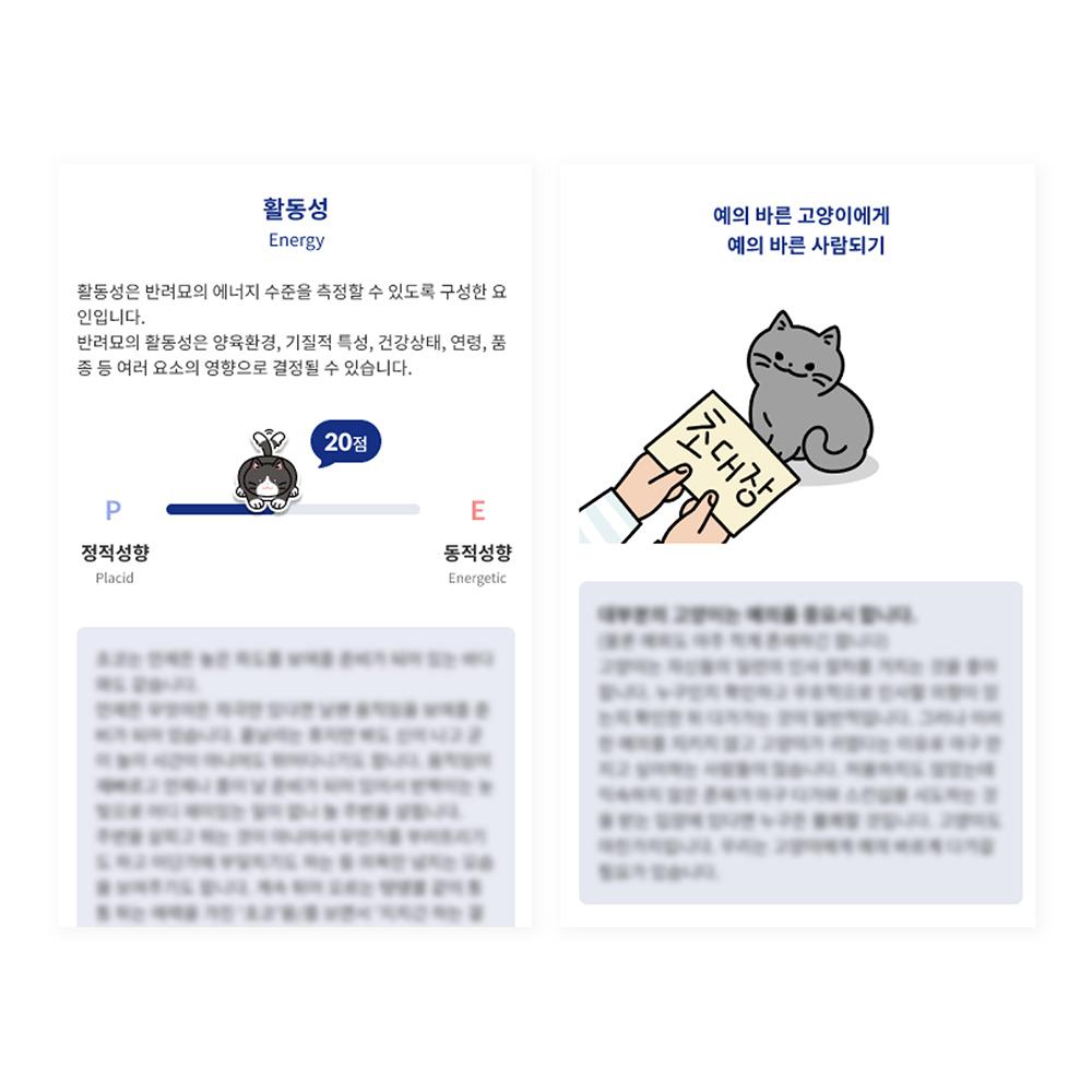 Cat Character Style Inventory