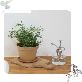 detail image1 Freefactory Flower Plant Pot with Drainage Holes and Saucer Tray(Small/Brown)