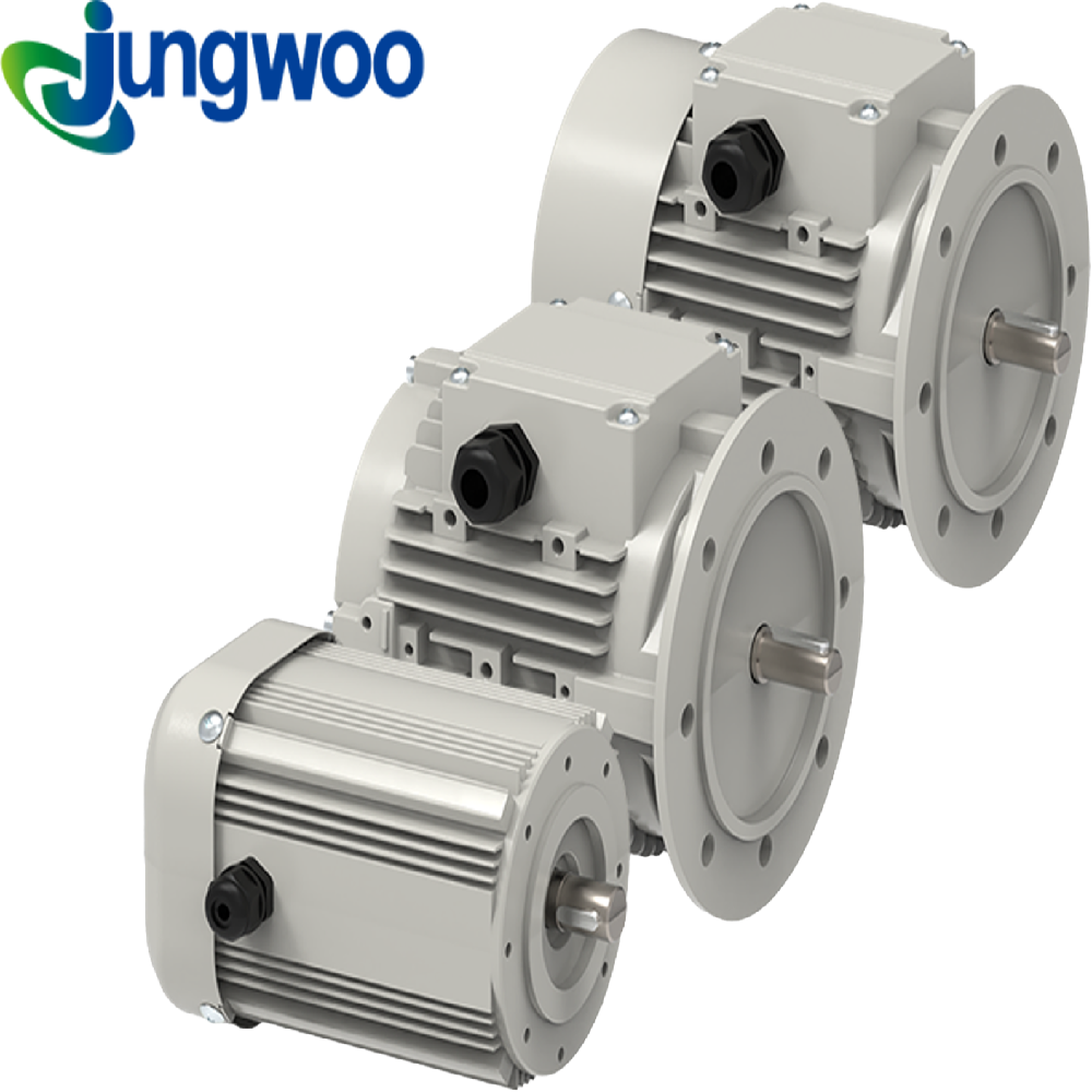 PM motor, IPMSM, IPM (IE4, IE5)